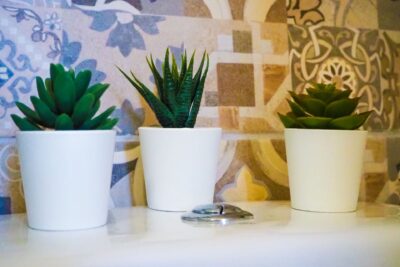 Kroussos Cottage Faraklata Kefalonia (37)