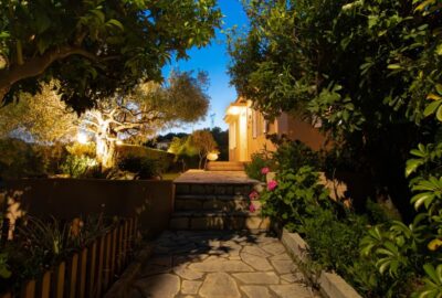 IMG_8248-Enhanced-NR